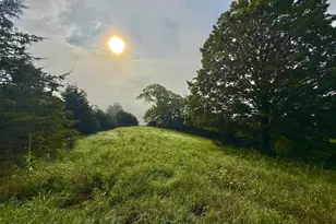 Us Route 220, Franklin, WV 26807 - Photo 1