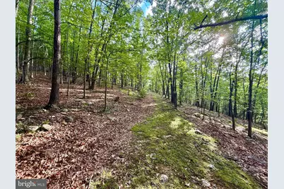 Us Route 220, Franklin, WV 26807 - Photo 29