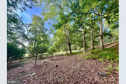 Us Route 220, Franklin, WV 26807 - Photo 21