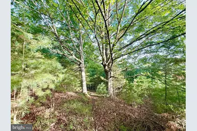 Us Route 220, Franklin, WV 26807 - Photo 11