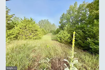 Us Route 220, Franklin, WV 26807 - Photo 13