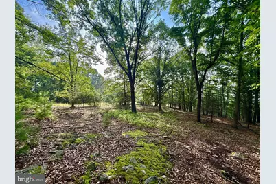 Us Route 220, Franklin, WV 26807 - Photo 27