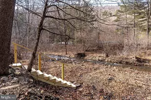29 Shenandoah Mountain Road, Sugar Grove, WV 26815 - Photo 49