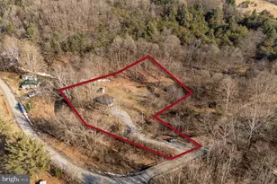 29 Shenandoah Mountain Road, Sugar Grove, WV 26815 - Photo 39