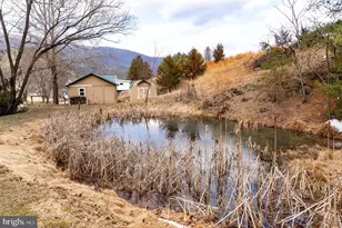 8545 Sugar Grove Rd, Sugar Grove, WV 26815 - Photo 91