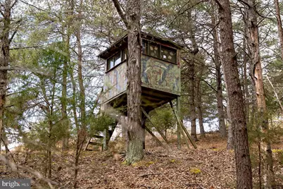 8545 Sugar Grove Road, Sugar Grove, WV 26815 - Photo 97