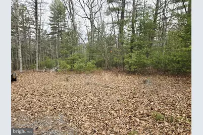 1120 Sandy Ridge Road, Sugar Grove, WV 26815 - Photo 53