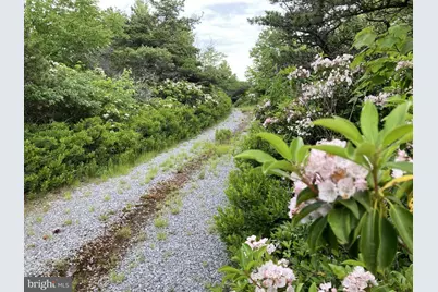 46 Pond Road, Franklin, WV 26807 - Photo 21