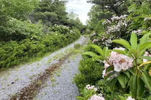 46 Pond Rd, Franklin, WV 26807 - Photo 21