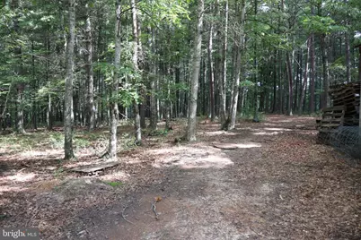 418 R & R Ridge Rd, Brandywine, WV 26802 - Photo 25