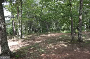 418 R & R Ridge Rd, Brandywine, WV 26802 - Photo 29