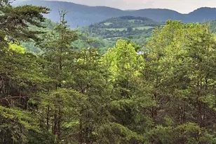 141 Rose Patch Dr, Petersburg, WV 26847 - Photo 75