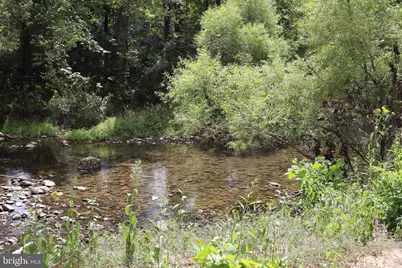 106 Pit Run Road, Brandywine, WV 26802 - Photo 43