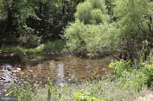 106 Pit Run Rd, Brandywine, WV 26802 - Photo 43