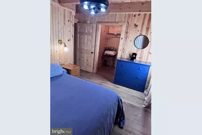 1422 Cave Mountain Road, Upper Tract, WV 26866 - Photo 29