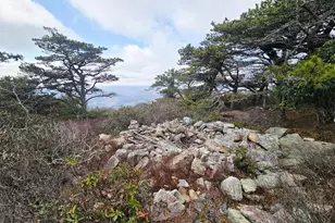 148 Pond Rd, Franklin, WV 26807 - Photo 15