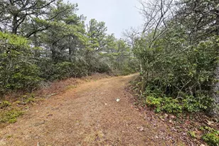 148 Pond Rd, Franklin, WV 26807 - Photo 21