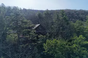 232 Hawks Rdg Rd, Franklin, WV 26807 - Photo 31