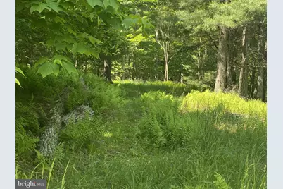 Rt 23, Dry Run Rd, Franklin, WV 26807 - Photo 3