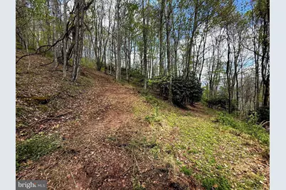 Tract A-30.82 Acs Straders Run Road, Seneca Rocks, WV 26884 - Photo 37