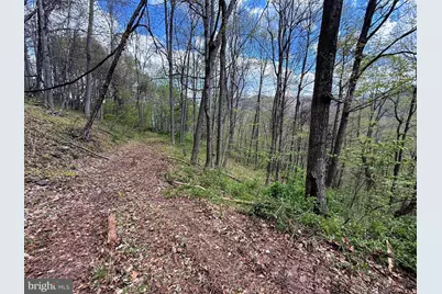 Tract A-30.82 Acs Straders Run Road, Seneca Rocks, WV 26884 - Photo 39
