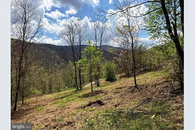 Tract A-30.82 Acs Straders Run Road, Seneca Rocks, WV 26884 - Photo 7