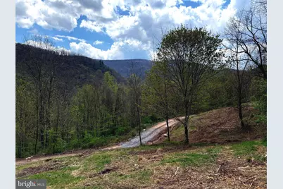 Tract A-30.82 Acs Straders Run Road, Seneca Rocks, WV 26884 - Photo 5