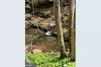 Tract A-30.82 Acs Straders Run Road, Seneca Rocks, WV 26884 - Photo 3
