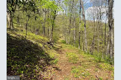 Tract A-30.82 Acs Straders Run Road, Seneca Rocks, WV 26884 - Photo 13
