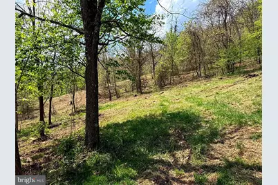 Tract A-30.82 Acs Straders Run Road, Seneca Rocks, WV 26884 - Photo 29