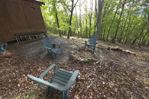 384 Scarlet Tanager Trl, Franklin, WV 26807 - Photo 43