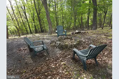 384 Scarlet Tanager Trail, Franklin, WV 26807 - Photo 41
