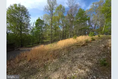 384 Scarlet Tanager Trail, Franklin, WV 26807 - Photo 47