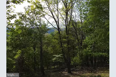 384 Scarlet Tanager Trail, Franklin, WV 26807 - Photo 53