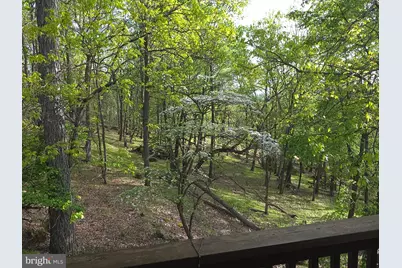 384 Scarlet Tanager Trail, Franklin, WV 26807 - Photo 55
