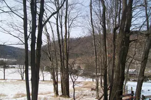 5621 Kiser Gap Rd, Franklin, WV 26807 - Photo 51