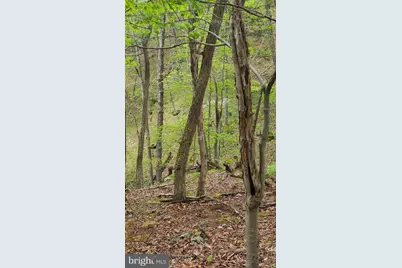 740 Deer Crossing Trail, Franklin, WV 26807 - Photo 31