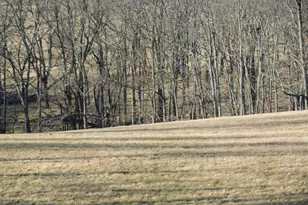 515 Lookout Ln, Riverton, WV 26814 - Photo 65