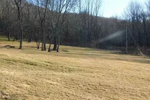 515 Lookout Ln, Riverton, WV 26814 - Photo 61