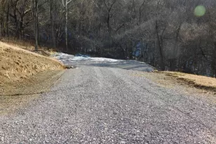 515 Lookout Ln, Riverton, WV 26814 - Photo 45