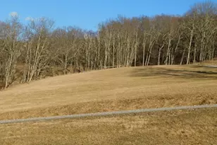515 Lookout Ln, Riverton, WV 26814 - Photo 59