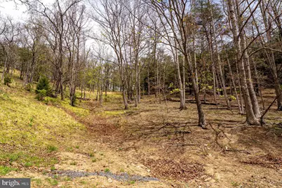 24 Strauter Road, Franklin, WV 26807 - Photo 17