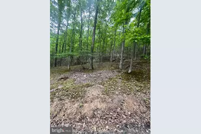 Edgar Lane, Upper Tract, WV 26866 - Photo 13