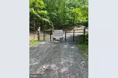 Edgar Lane, Upper Tract, WV 26866 - Photo 1