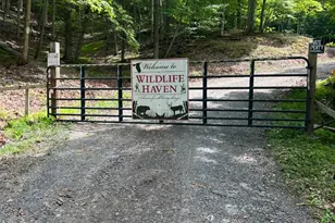 Edgar Ln, Upper Tract, WV 26866 - Photo 1