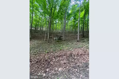 Edgar Lane, Upper Tract, WV 26866 - Photo 15