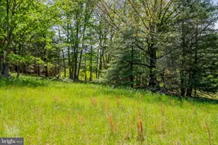 73 Sweedlin View Ln, Brandywine, WV 26802 - Photo 23