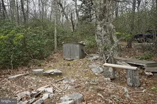 829 Kile Knob Rd, Franklin, WV 26807 - Photo 21
