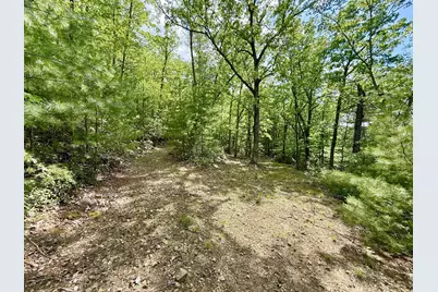 Deer Crossing Trail, Franklin, WV 26807 - Photo 3