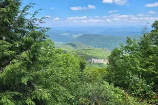 207 Lower Knob Rd, Franklin, WV 26807 - Photo 37